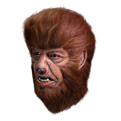 Image of The Wolf Man Mask