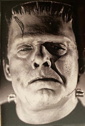 Ghost of Frankenstein Magnet